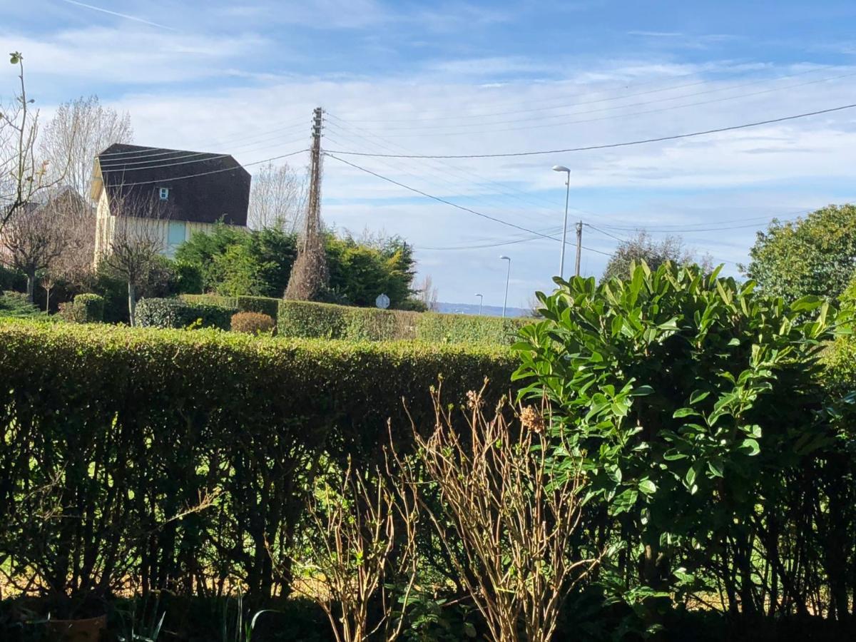 Studio En Rez De Jardin -"Le Petit Nid" A Trouville ภายนอก รูปภาพ